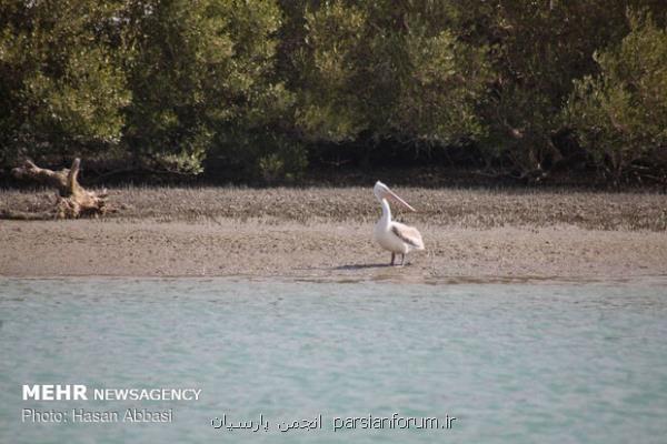چهارمین همایش ملی توسعه سواحل مکران