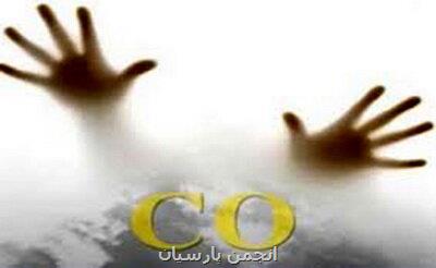 هشدار نسبت به افزایش مسمومیت با منوکسیدکربن تهران
