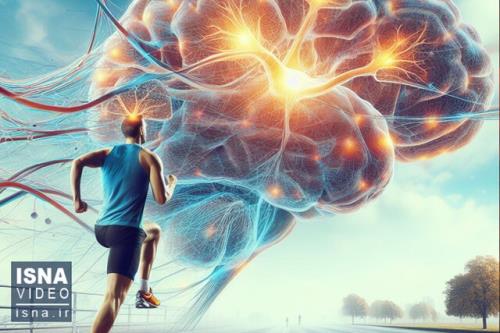 ویدیو، بافت مغز، سوخت دوندگان ماراتن