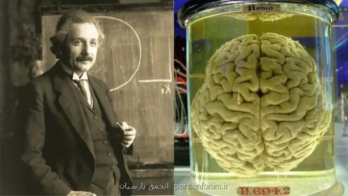 آیا می توان مغز اینشتین را خواند؟