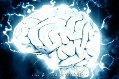 محققان موفق به درك نحوه پردازش تجارب احساسی در مغز شدند