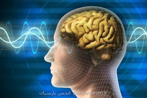 تامین ابزار علوم شناختی مورد حمایت قرار می گیرد