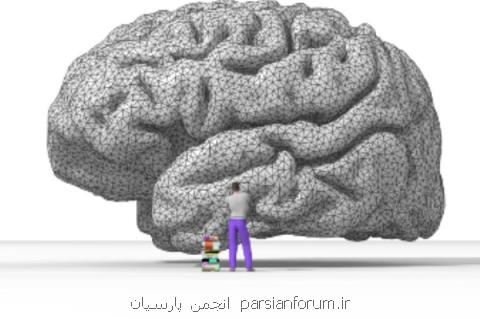 نفرات برتر مسابقه دانش مغز عرضه شدند