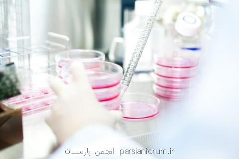 مرجعی از اطلاعات ژنتیكی در اختیار محققان قرار می گیرد