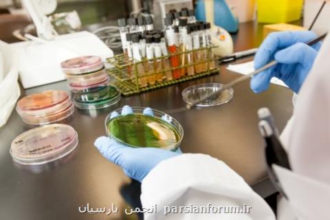 واكنش وزارت بهداشت به پروژه ۲۰۴۰، دستاوردهای علمی در عرصه پزشكی