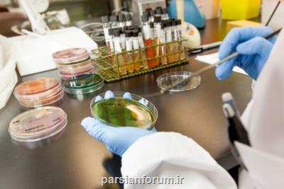 توریسم درمانی و مباحث ناباروری بررسی می شود