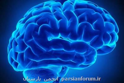 كسب مقام سوم مسابقات جهانی دانش مغز توسط یك ایرانی