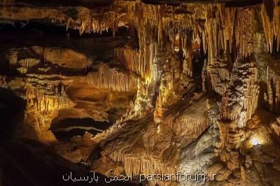 سر كوسه ۳۳۰ میلیون ساله در آمریكا كشف شد