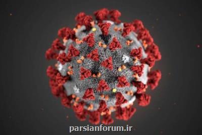 گزارش عملكرد پایگاه استنادی علوم جهان اسلام درباره كرونا ارائه شد
