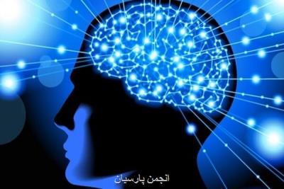 اجرای پژوهش های علوم شناختی بر مبنای نیاز جامعه